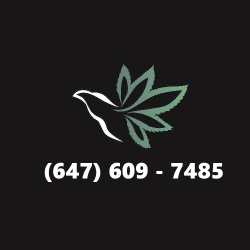 bizLogo