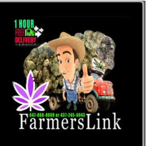 bizLogo