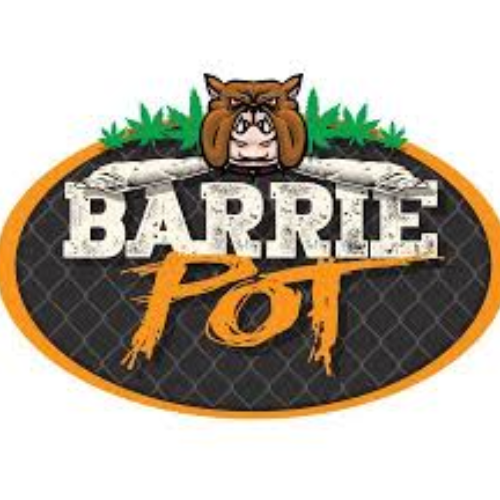 business-logo