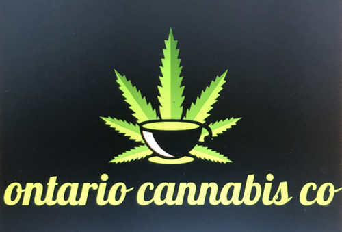 bizLogo