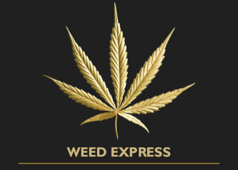 bizLogo